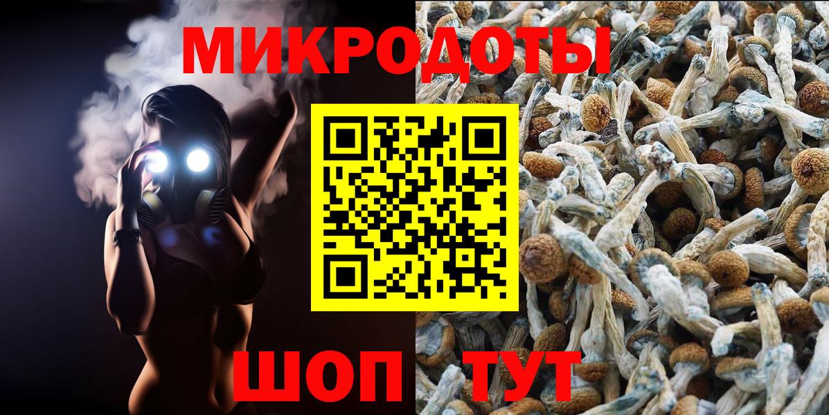 Псилоцибиновые грибы MAGIC MUSHROOMS  Вход с VPN  Курчатов 